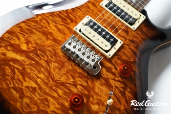 SE CUSTOM 24 - BG